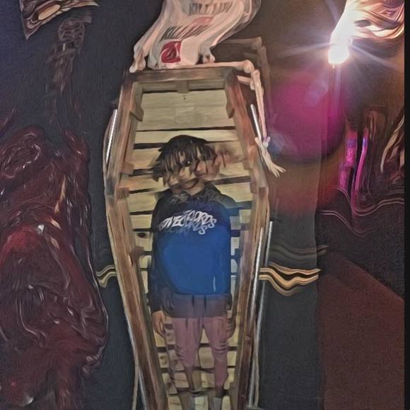 Meet your Posher, Fitz - Picture 1 of 1